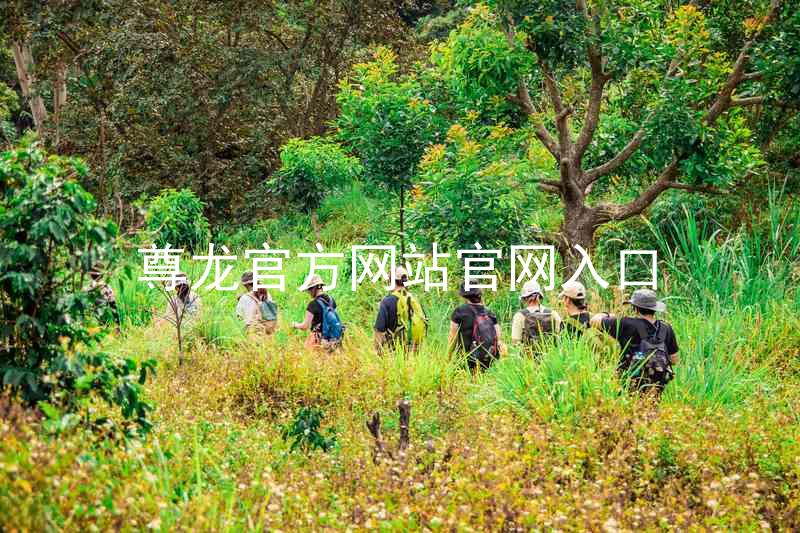尊龙官方网站官网入口