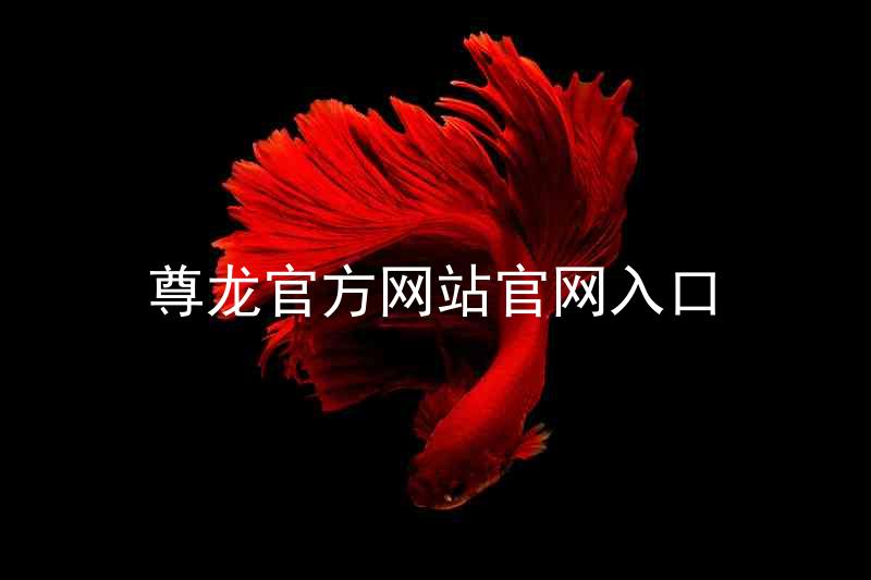 尊龙官方网站官网入口