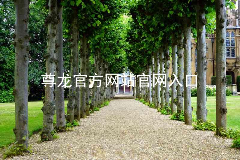 尊龙官方网站官网入口